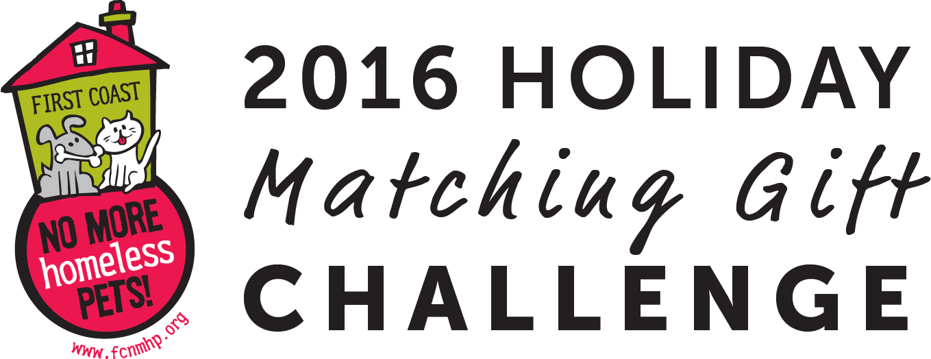 A black and white image of the 2 0 1 6 home matching challenge.