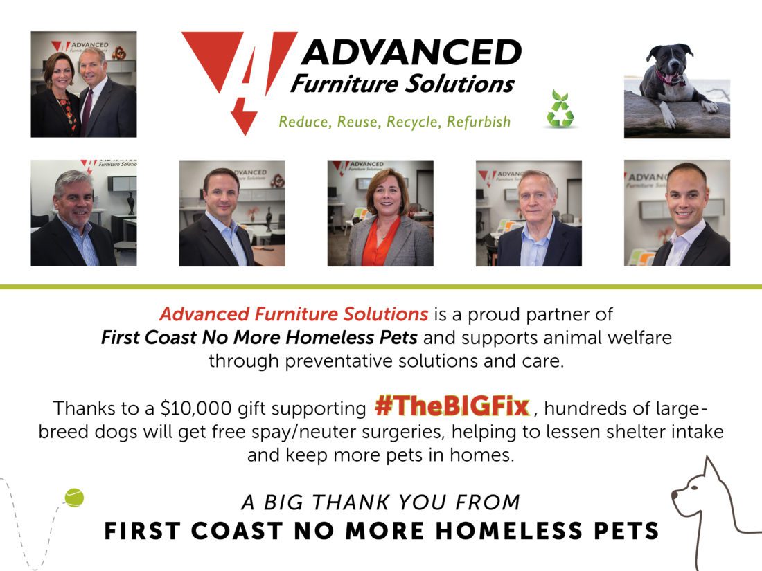 First Coast No More Homeless Pets Dogs And Cats Need Homes Facebook