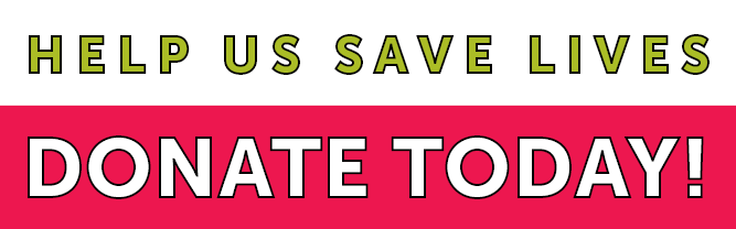 A red banner with the words " bus saves " and " rate to go ".
