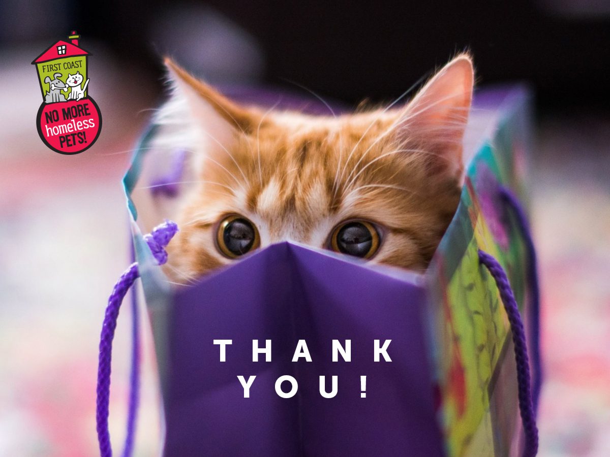 A cat is peeking out of its bag with the words " thank you !" written underneath it.
