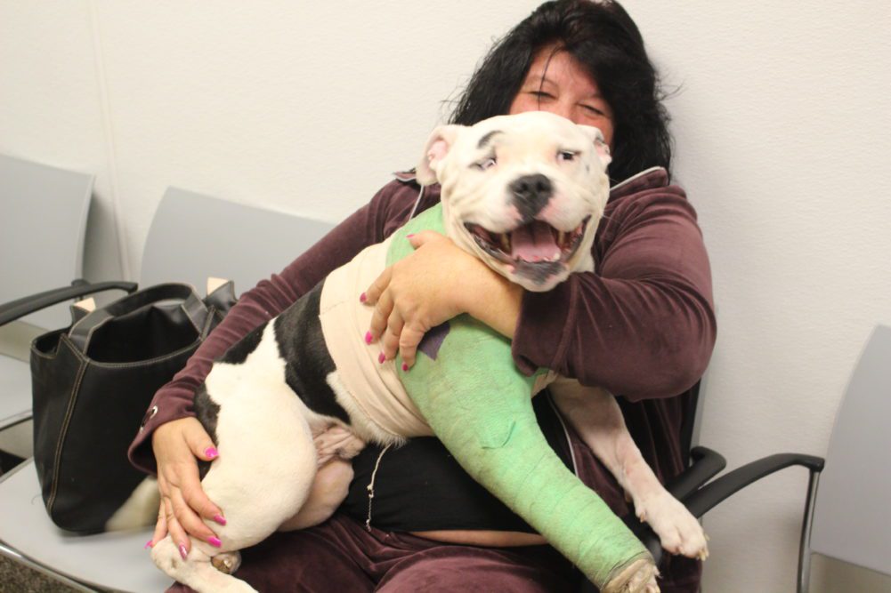 A woman holding onto a dog with a cast on its arm.