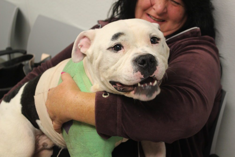 A woman holding a white dog with green spots on it's face.