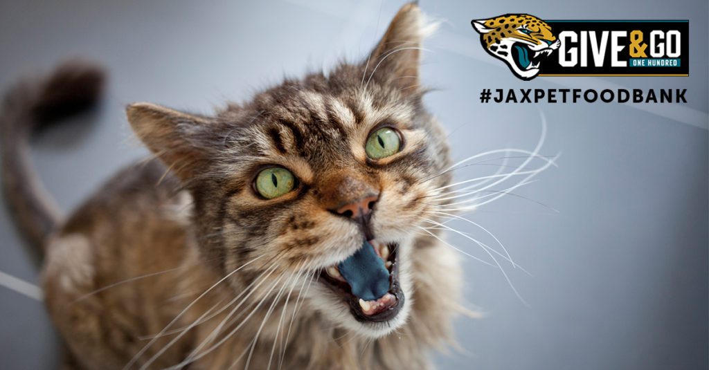 A cat with its mouth open and the jaguars logo in the background.